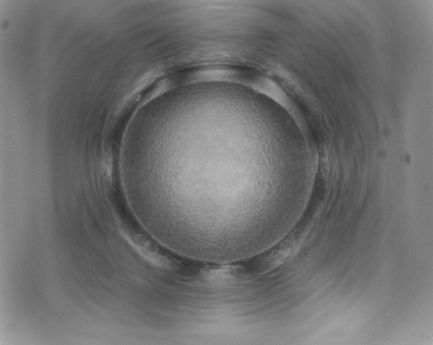 X0000073860072200608101301