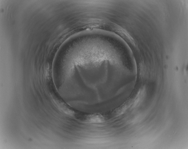 X0000073860073200608101301