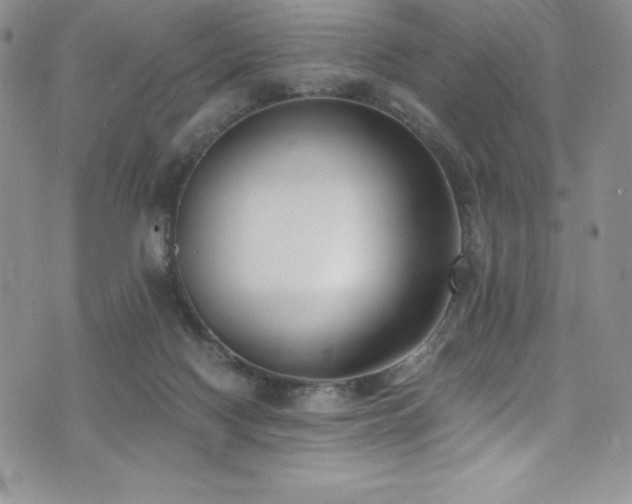 X0000073860074200608101301