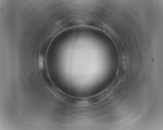 X0000073860075200608101301