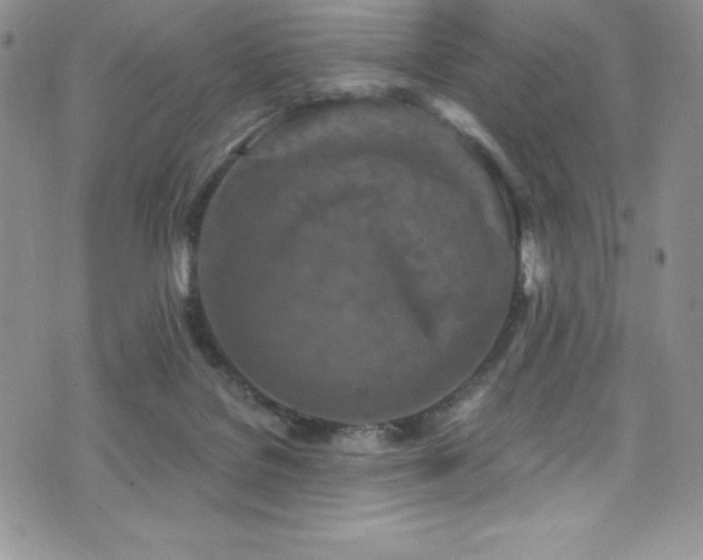 X0000073860076200608101301