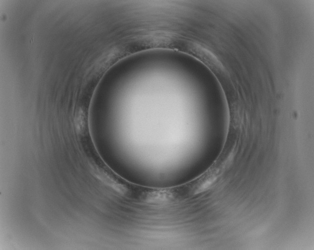 X0000073860077200608101301