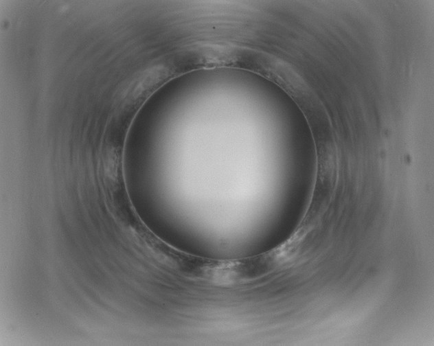 X0000073860078200608101301