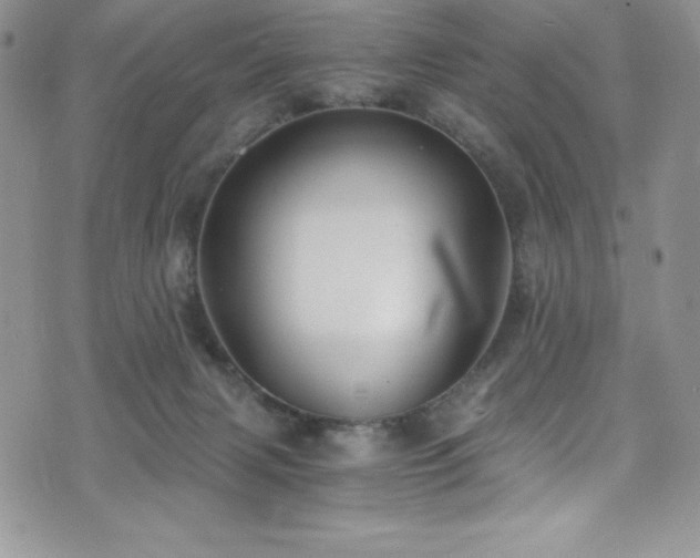 X0000073860079200608101301