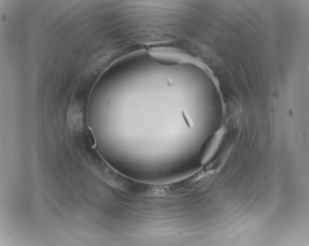 X0000073860080200608101301