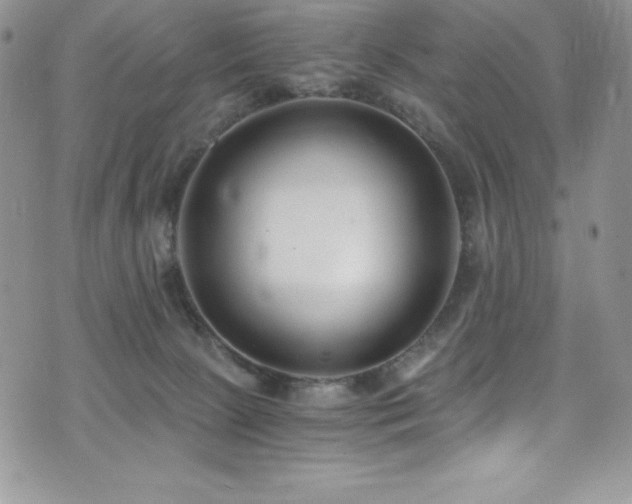 X0000073860081200608101301