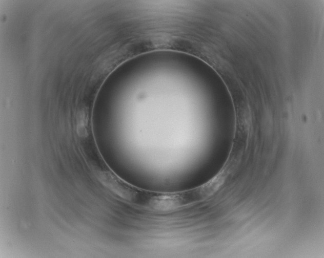 X0000073860082200608101301