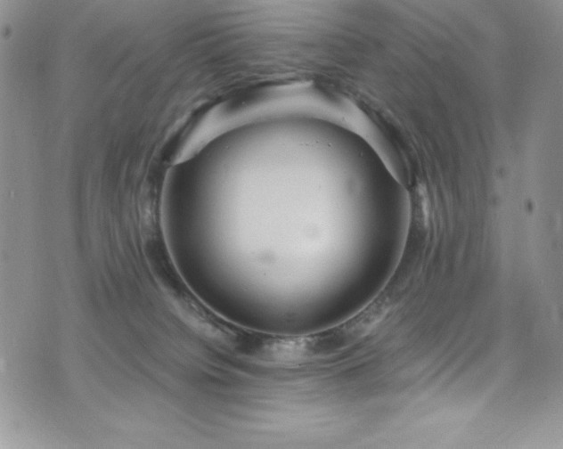 X0000073860084200608101301