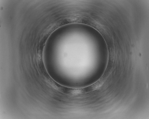 X0000073860085200608101301