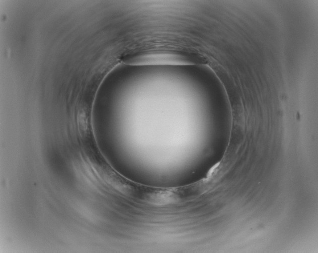 X0000073860086200608101301