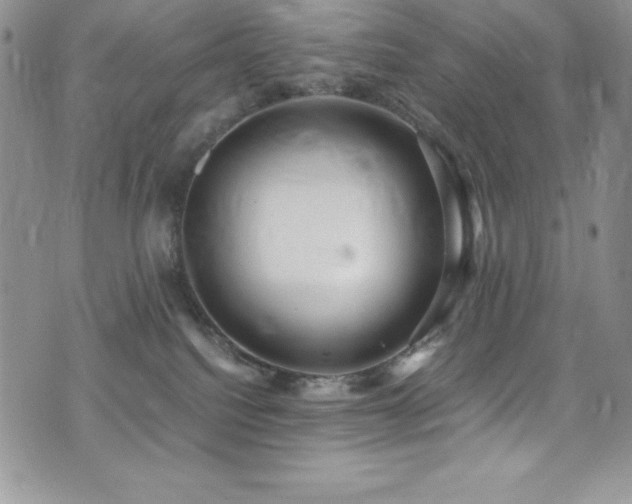 X0000073860088200608101301