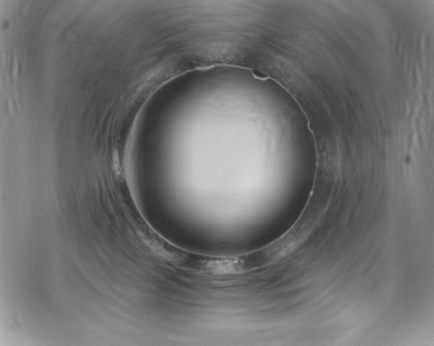 X0000073860089200608101301