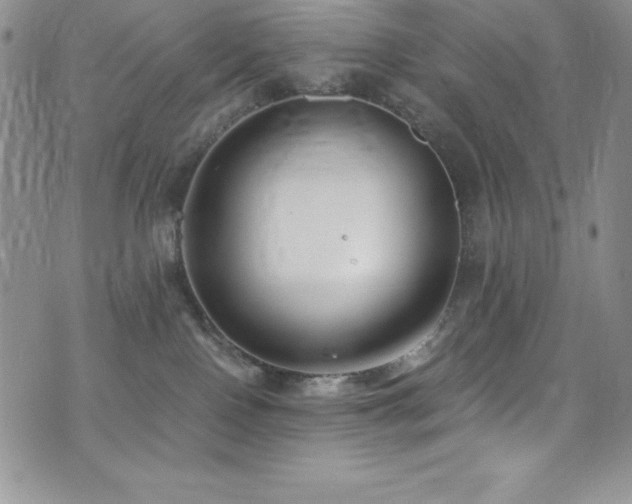 X0000073860090200608101301