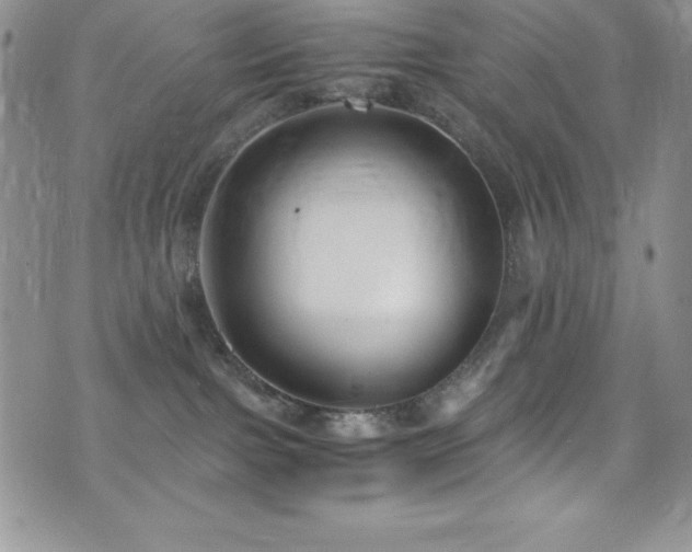 X0000073860091200608101301