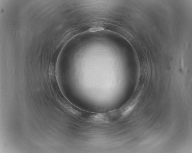 X0000073860092200608101301