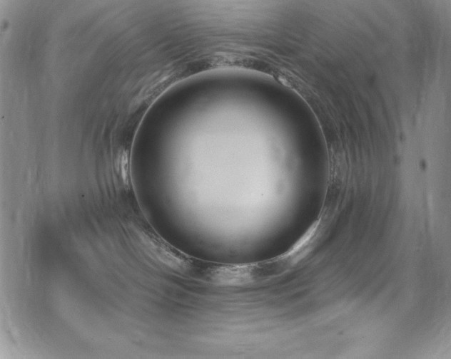 X0000073860094200608101301