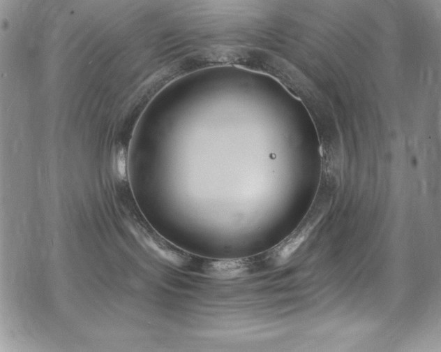 X0000073860095200608101301