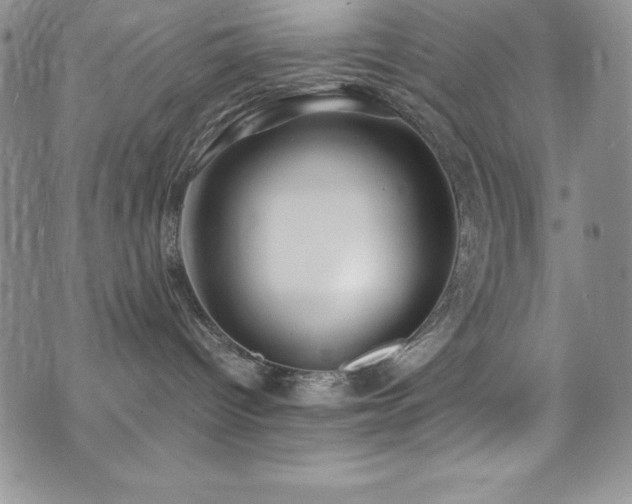 X0000073860096200608101301