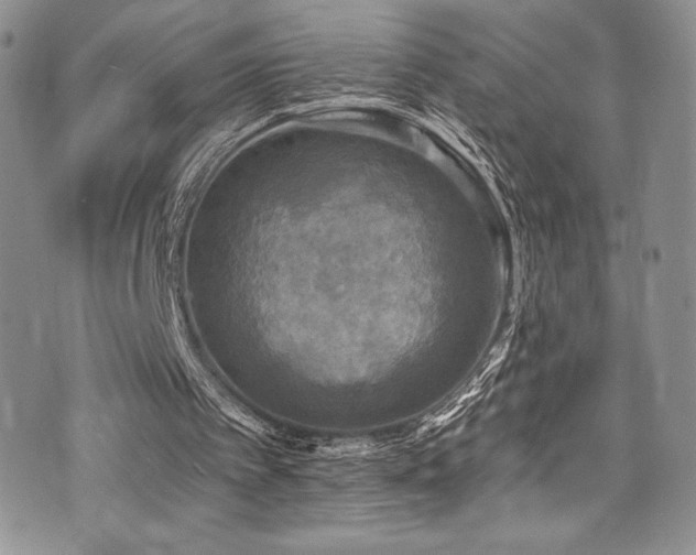 X0000073860097200608101300