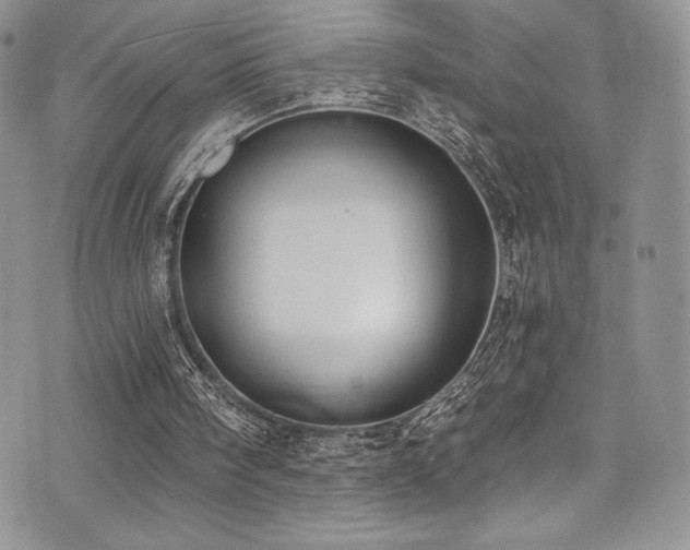 X0000073860098200608101300