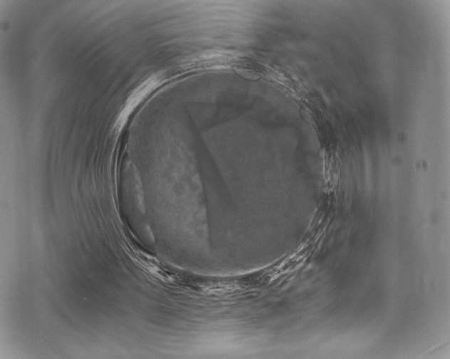 X0000073860099200608101300