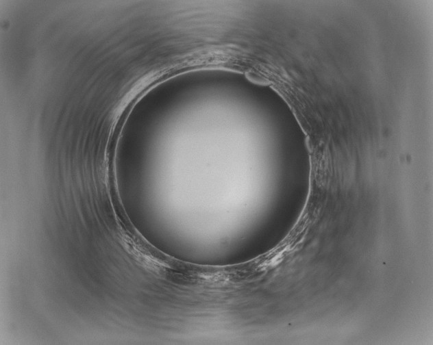 X0000073860100200608101300