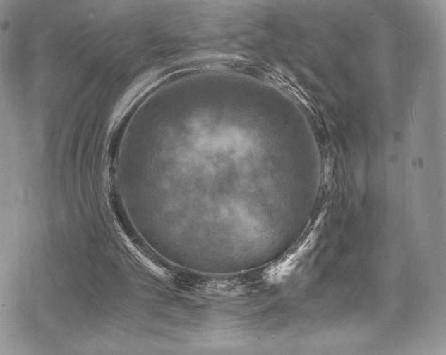 X0000073860101200608101300