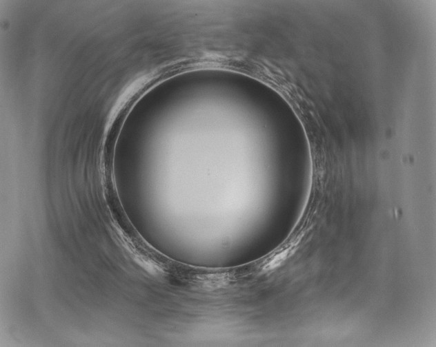 X0000073860102200608101300