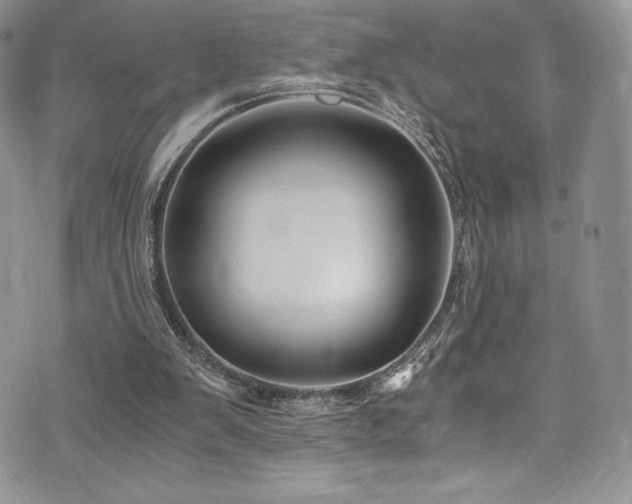 X0000073860103200608101300