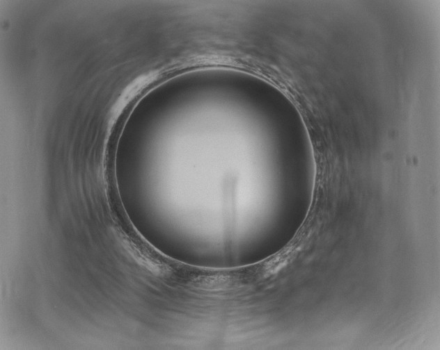 X0000073860104200608101300