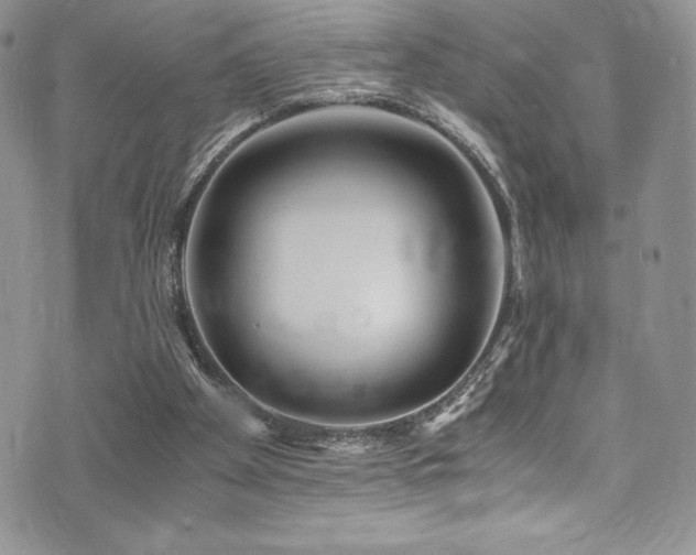 X0000073860105200608101300