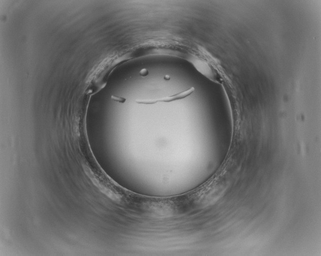 X0000073860106200608101300