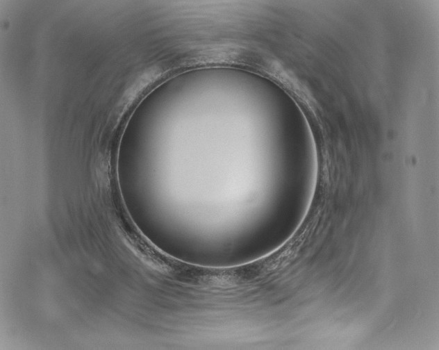 X0000073860107200608101300