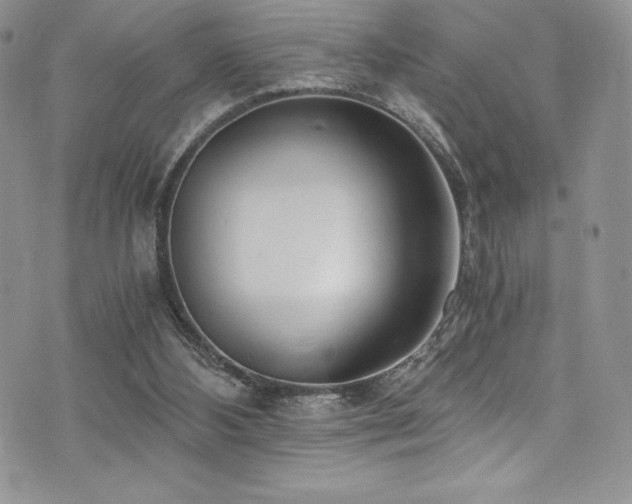 X0000073860108200608101300