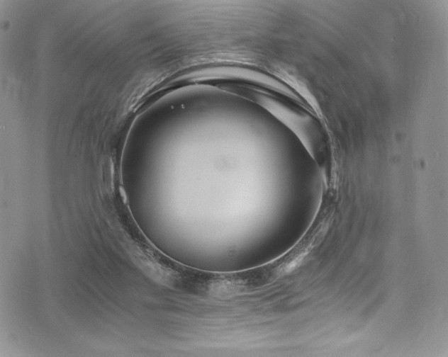 X0000073860109200608101300