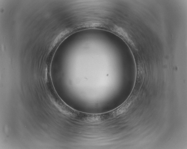 X0000073860110200608101300