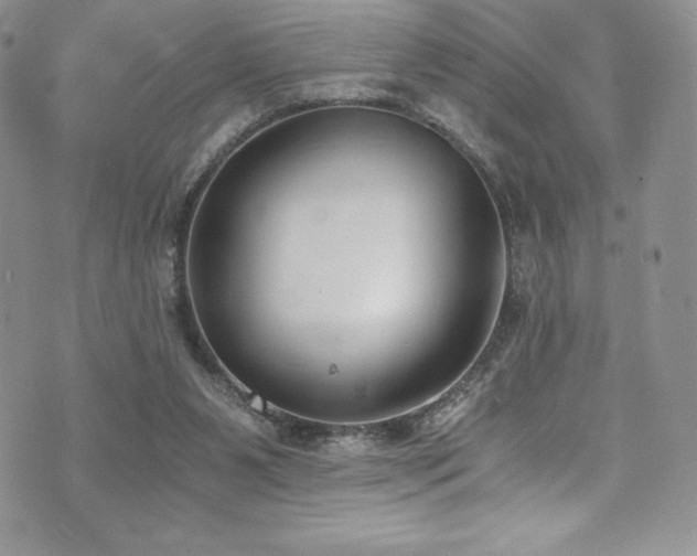 X0000073860111200608101300