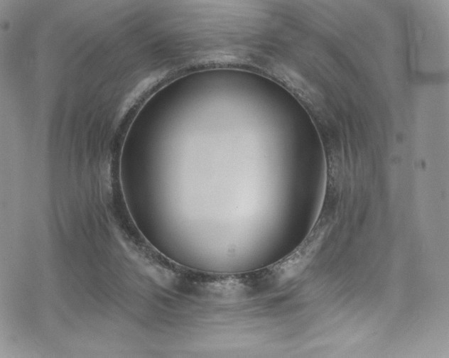 X0000073860112200608101300