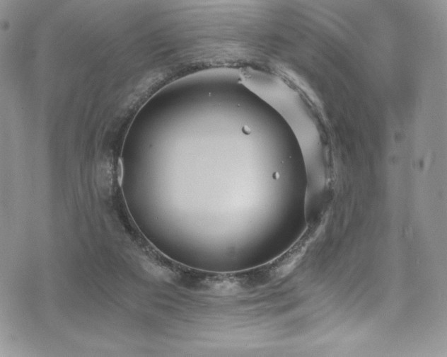 X0000073860113200608101300