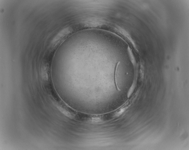 X0000073860114200608101300