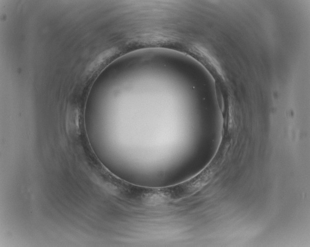 X0000073860115200608101300