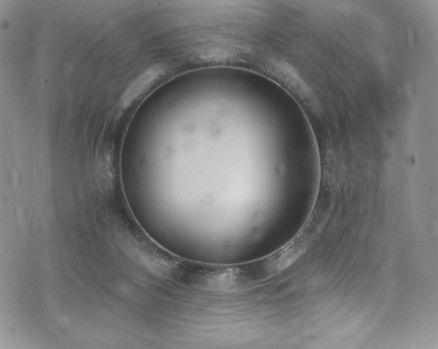 X0000073860116200608101300