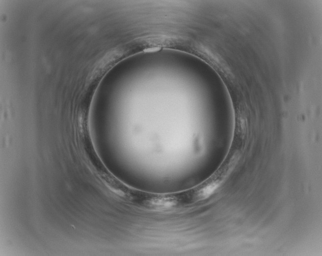 X0000073860117200608101300