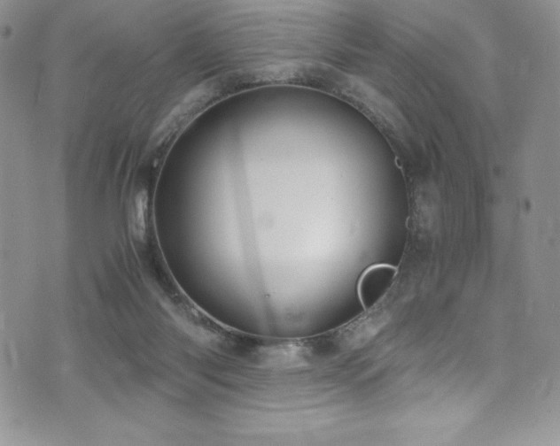 X0000073860118200608101300