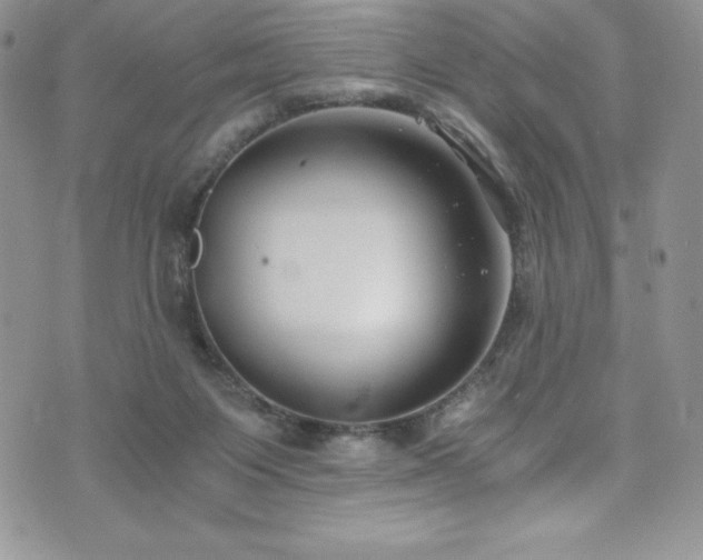 X0000073860119200608101300