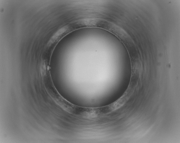 X0000073860120200608101300