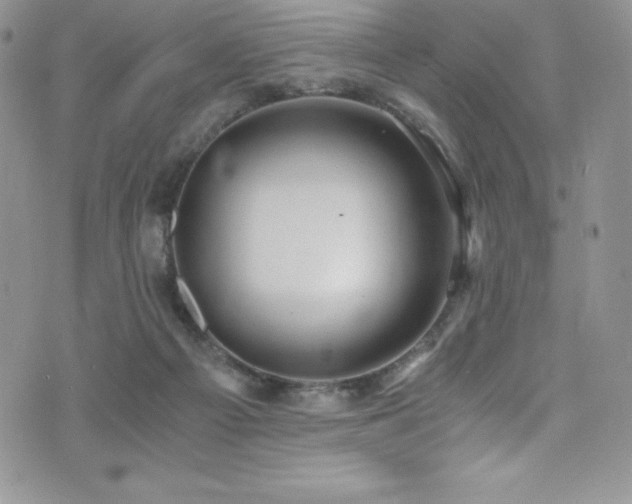 X0000073860121200608101300