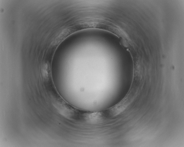 X0000073860122200608101300