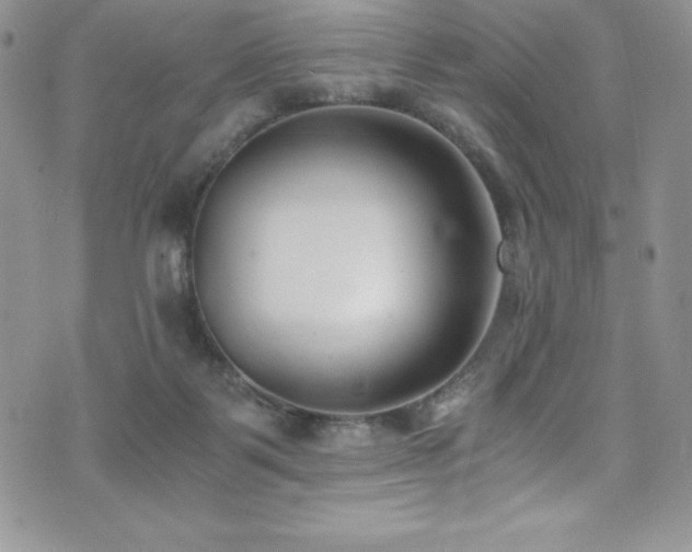 X0000073860123200608101300