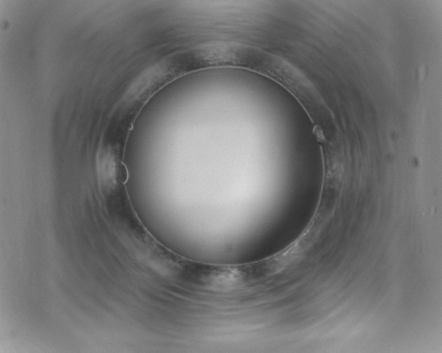 X0000073860124200608101300